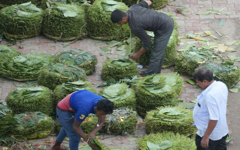 بھارتی ریاست تریپورہ میں لوگ پان کے پتوں کی خریدو فروخت میں مصروف