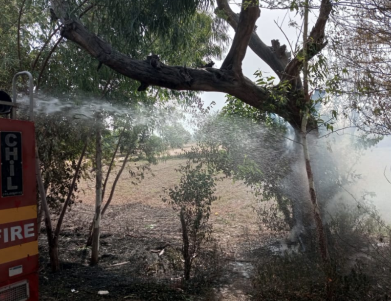 سیالکوٹ : چونڈہ روڈ لپے والی کے قریب جھاڑیوں اور درختوں میں آگ لگنے سے مالک ابرار عظیم کا 25 ہزار روپے کا سامان جل گیا 