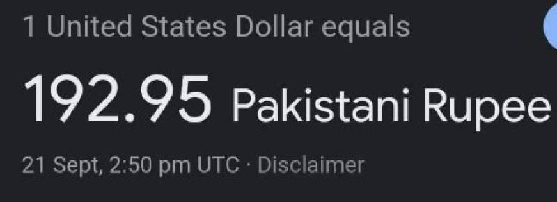  گوگل پر امریکی ڈالر 192.95 روپے، کیا گوگل کرنسی کنورٹر پاکستانی روپے کی قدر ہمیشہ غلط دکھاتا ہے؟