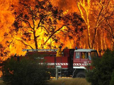 آسٹریلیا میں جنگل میں لگی آگ کو بجھانےکا کام جاری ہےجبکہ تیزہواؤں کےباعث آگ کےمزید علاقوں تک پھیلنےکا خدشہ پیدا ہوگیا۔