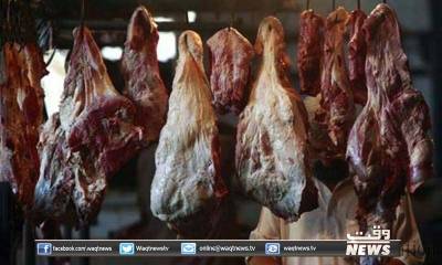 مرداراور حرام جانوروں کا گوشت فروخت کرنے والوں نےاخلاقیات کی دھجیاں بکھیر دیں