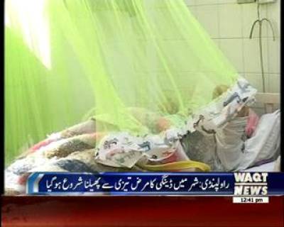 Dengue Patients In Rawalpindi