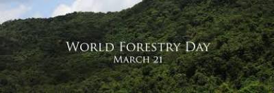  درخت ماحولیاتی آلودگی کم کرنے کا قدرتی ذریعہ ہیں پاکستان سمیت دنیا بھر میں جنگلات کا دن آج منایا جا رہا ہے
