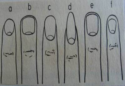 ناخنوں کی ساخت میں شخصیت کے راز پوشیدہ ہوتے ہیں۔