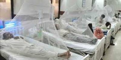 پشاور میں ڈینگی مچھر کے وار جاری ہیں۔ ڈینگی مچھرکے کاٹنے سے متاثر ہوکر شہری ہسپتالوں میں پہنچ رہےہیں