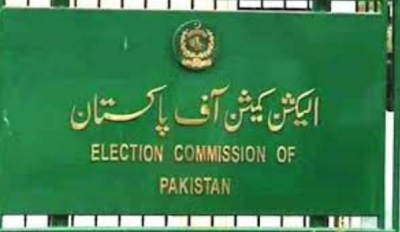 الیکشن کمیشن نے پی ٹی آئی کے رکن کے پی اسمبلی شاہ محمد خان اورممبرضلع کونسل گل بازخان کونااہل قراردے دیا