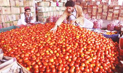 ٹماٹر اور پیاز کی قیمتوں میں اضافہ، پیچھے کس کا ہاتھ ہے صوبائی وزیر نے بتادیا۔