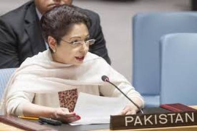 دہشت گردی کے خلاف جنگ میں پاکستان کوایک سو بیس ارب ڈالرزکانقصان اٹھاناپڑا: ملیحہ لودھی