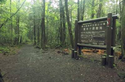 جاپان میں ایک ایسا جنگل بھی موجود ہے جسے درختوں کا سمندر کہا جاتا ہے اور جہاں لوگ خودکشی کرنے کیلئے آتے ہیں
