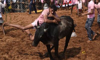 بھارت میں بیل کے ساتھ دوڑنے کے خطرناک مقابلے کے دوران 5 افراد ہلاک،متعدد زخمی