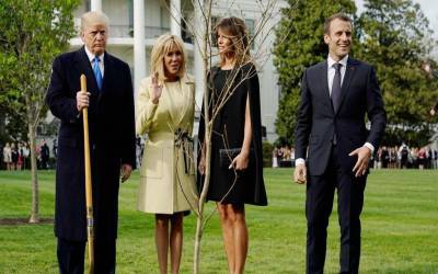 فرانسیسی صدر کا ڈونلڈ ٹرمپ کو بطور تحفہ دیا پودا وائٹ ہاﺅس سے غائب
