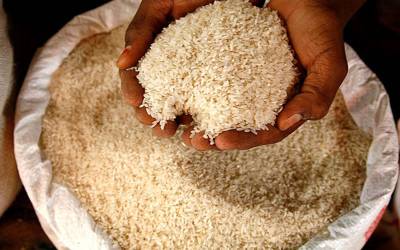 مارچ کے دوران چاول کی برآمدات میں 81.03 فیصد اضافہ ہوا۔ ادارہ برائے شماریات