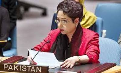  دہشت گردی کے خلاف پاکستان نے بھاری جانی ومالی قربانیاں دیں:-ملیحہ لودھی 