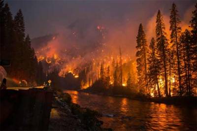 کیلیفورنیا کے بعد واشنگٹن کے جنگلات آگ کی لپیٹ میں
