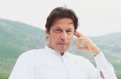 عمران خان نے مخالفین کو گدھا کہنے پر معافی مانگ لی