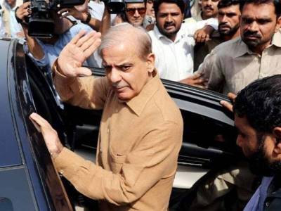 Court orders Shehbaz Sharif to be sent on 10-day physical remand