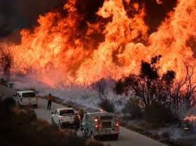 امریکی ریاست کیلیفورنیا کے جنگلات میں آگ لگ گئی ہے ۔