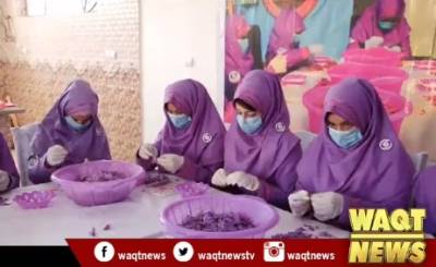افغانستان میں زعفران کی پیداوار میں اضافہ