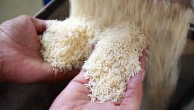 قطر نے پاکستانی چاول کی درآمدات پر عائد پابندی اٹھالی