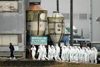 جاپان میں سوائن فلو کی روک تھام کے لئے احتیاطی اقدامات 