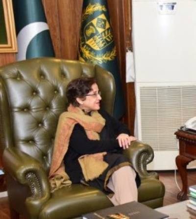 پاکستانی سیکریٹری خارجہ سے یورپی نمائندہ خصوصی کی ملاقات، افغان امن عمل پر گفتگو