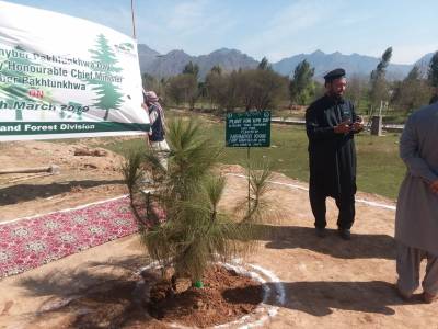 وزیر اعلیٰ خیبر پختون خوا محمود خان نے درگئی ضلع ملاکنڈمیں سمال انڈسٹریل زون کا افتتاح کردیا،