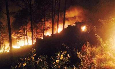 مری کے جنگلات میں آگ لگ گئی، وزیر اعلیٰ پنجاب کا نوٹس 