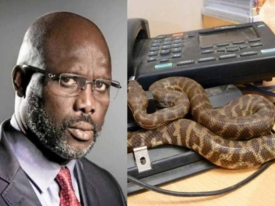 دفتر میں زہریلے سانپ کی موجودگی کی وجہ سے افریقی صدرحکومت گھر سے چلانے پر مجبور