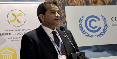 اقوام متحدہ نے پاکستان کی شجرکاری کے ذریعے جنگلات کا خاتمہ روکنے کی کوششوں کو سراہا