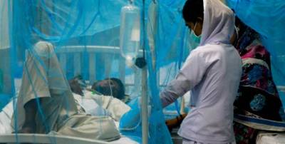 پنجاب میں24 گھنٹوں کے دوران 85 افراد میں ڈینگی وائرس کی تصدیق