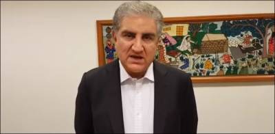 شاہ محمود قریشی نے مسئلہ کشمیر پر یورپی یونین کے موقف کو سراہا