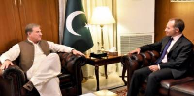 برطانوی شاہی جوڑے کی پاکستان آمد کے منتظر ہیں:شاہ محمود قریشی