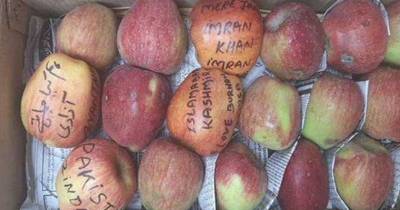 کشمیریوں نے سیبوں پر نعرے لکھ کر بھارت بھیج دئیے