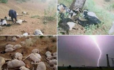 تھر کے مختلف دیہاتوں میں بارش کے دوران آسمانی بجلی گرنے سے جاں بحق افراد کی تعداد 25ہو گئی