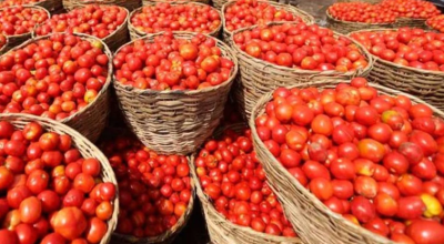 ایران سے ٹماٹر کے مزید 50 کنٹینر کوئٹہ پہنچ گئے