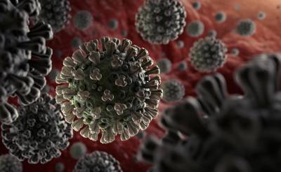 معروف پاکستانی سائنسدان نے کورونا وائرس کی ساخت کا پتا لگا لیا۔