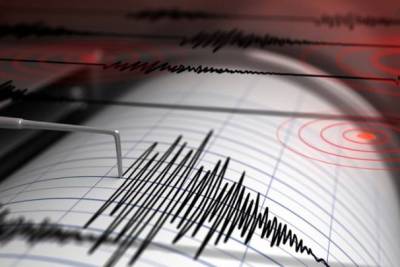 بحرالکاہل میں واقع ملک وانواتو کے جزیرہ کے قریب 5.2 شدت کا زلزلہ