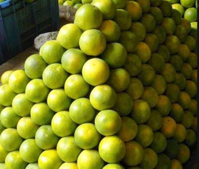ماہ صیام کی آمد، لیموں 200 روپے کلو مہنگے
