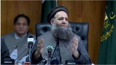 پاکستان کا آئین اقلیتوں کے حقوق اور مذہبی آزادی کا ضامن ہے،نور الحق قادری