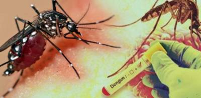 پنجاب میں ڈینگی بخار کے 5 مزید کیسز رپورٹ