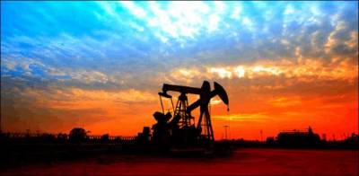 ملک میں تیل اور گیس کی پیداوار میں کمی