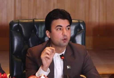 اپوزیشن این آر او کے حصول کے لیے ہر حد تک جانے کو تیار ہے: مراد سعید 