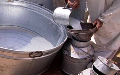سندھ ہائیکورٹ نے دودھ کی قیمتوں کا تعین کرنے کے حوالے سے رپورٹ طلب کر لی