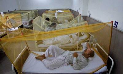 اسلام آباد میں ڈینگی کے وارجاری، ایک اور مریض جانبحق،174 شکار