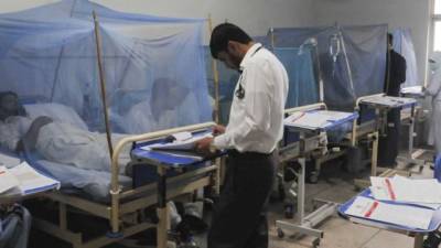 اسلام آباد میں ڈینگی کیسز کی تعداد میں مسلسل اضافہ 
