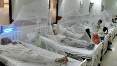 پنجاب میں ڈینگی بخار سے مزید 6 افراد انتقال کر گئے، جبکہ مزید 279 مریض 