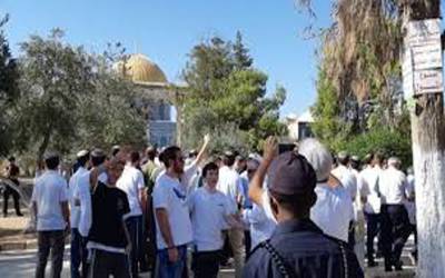 اسرائیلی آبادکاروں نے مسجد ا قصیٰ میں گھس کر بے حرمتی کی