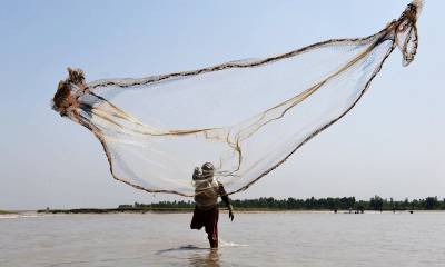 پنجاب میں مچھلی کے شکار پر 31 اگست تک پابندی