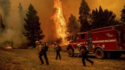 کیلیفورنیا کے جنگل میں لگی آگ بے قابو 