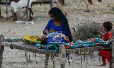 سندھ میں سیلابی صورتحال ، جاں بحق افراد کی تعداد 1500 سے تجاوز کر گئی
